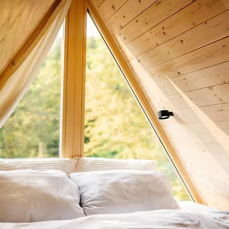 A-frame Forest Nest