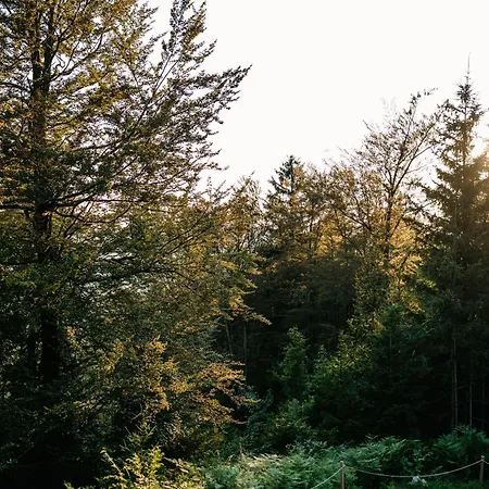 Cozy A-frame Retreat Near Ljubljana With Hot Tub Cerklje na Gorenjskem
