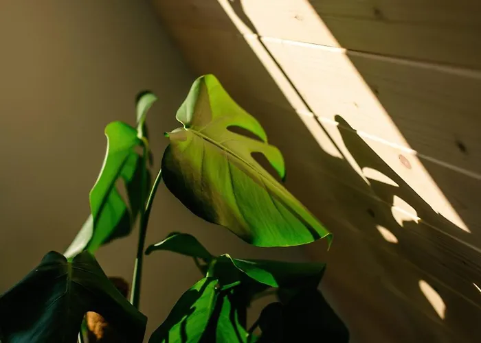 Cozy A-frame Retreat Near Ljubljana With Hot Tub