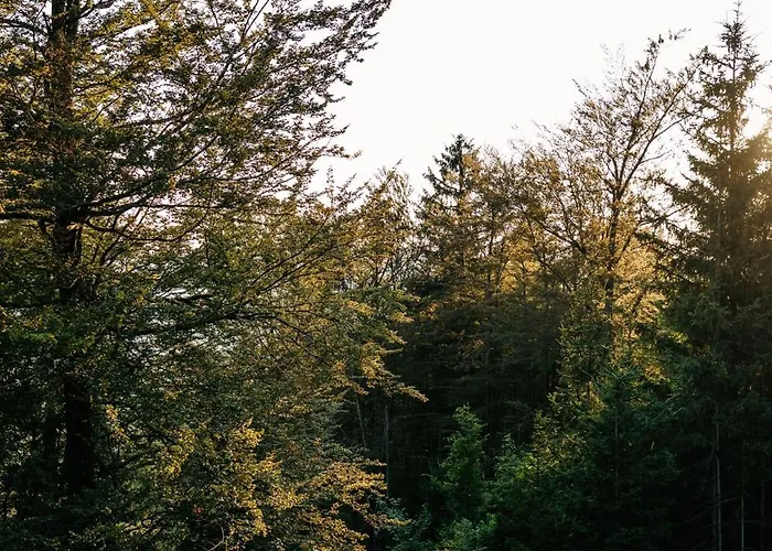 Cozy A-frame Retreat Near Ljubljana With Hot Tub Cerklje na Gorenjskem